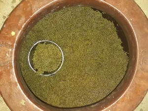 Décuvage d'un qwevri de vin orange