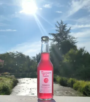 Terrassonnette en Terrasse, boisson fermentée moderne et rafraîchissante
