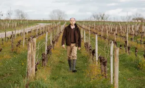 Gérald Standley dans les vignes de Château Terrasson